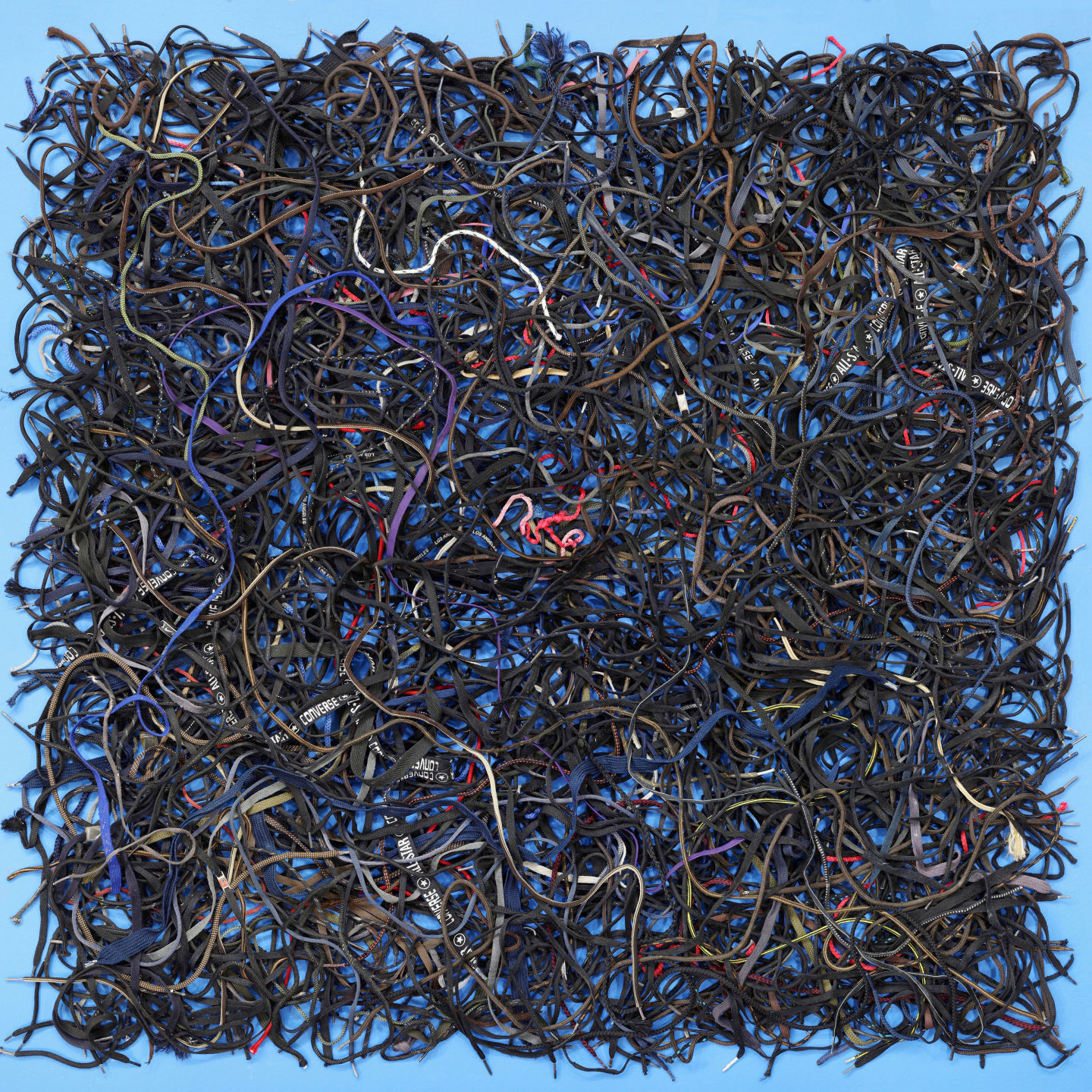 tomkiefer_ShoelacesBlue.jpg